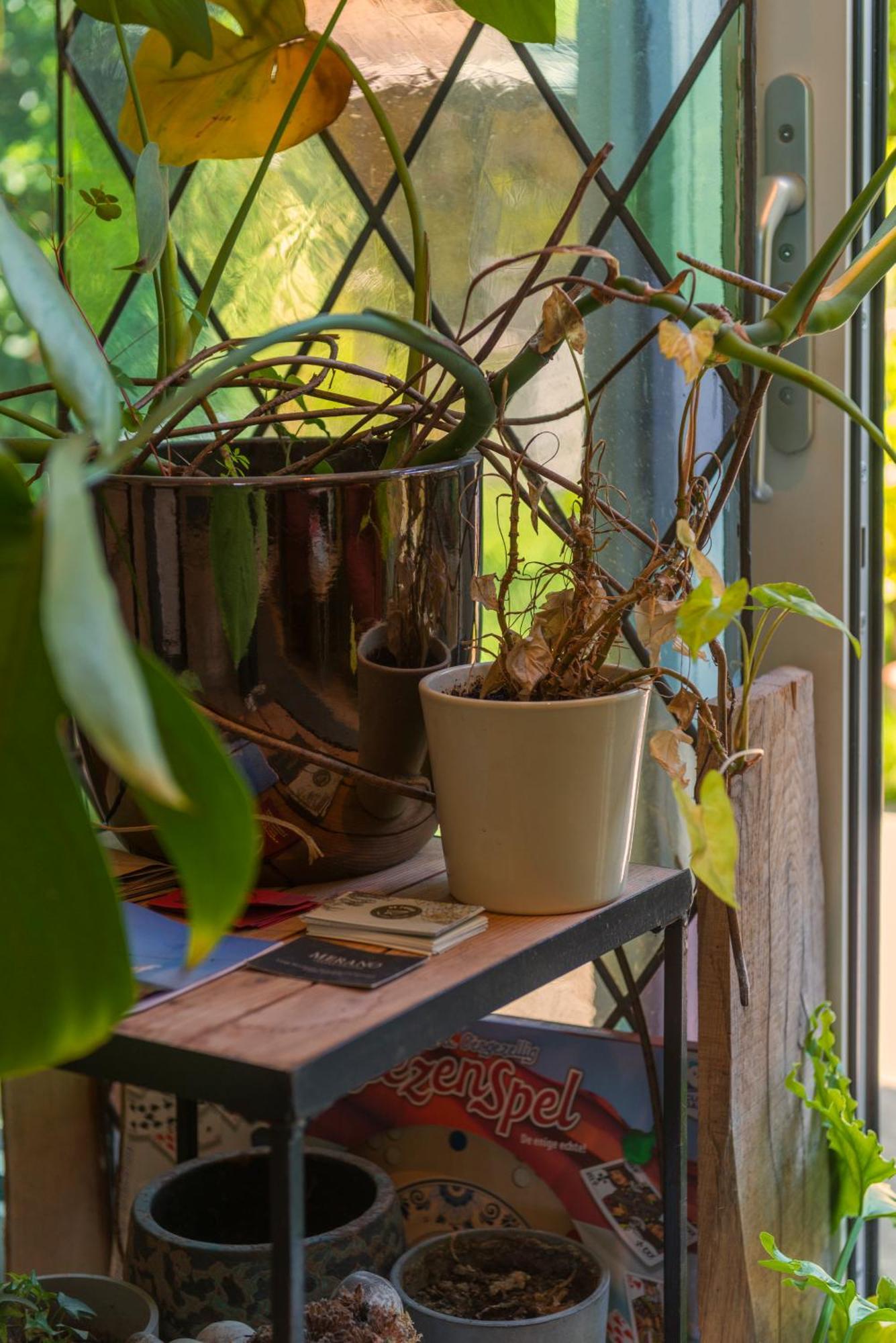 Tiny House - Leenfietsen, Eigen Keuken En Badkamer Nijmegen Luaran gambar